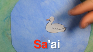 Sa'ai (Duck) Animated by Mathius, Race, Jared, Brooks (Blackfoot)