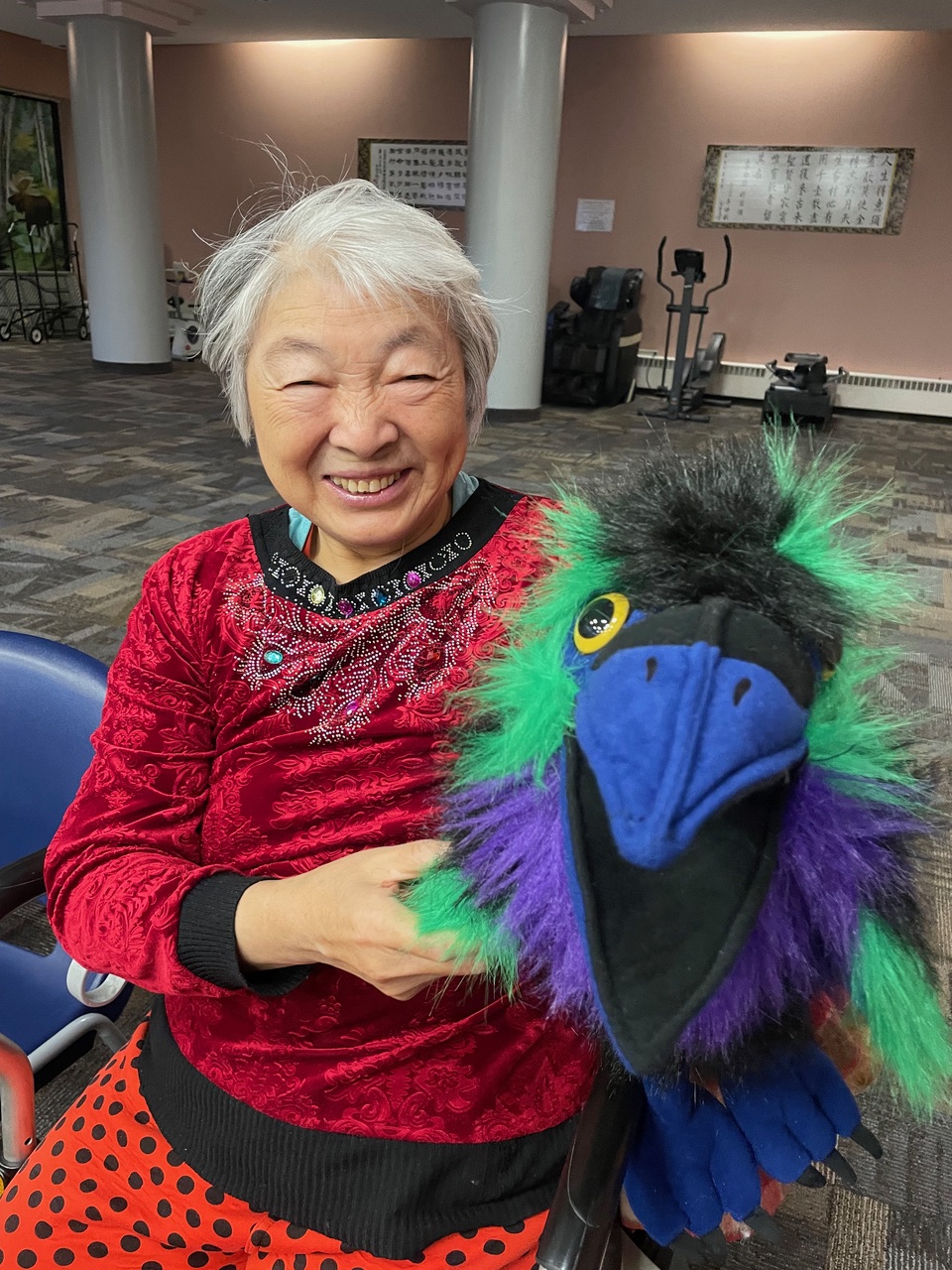 Donation to the Grey Guardians Program - Image 7